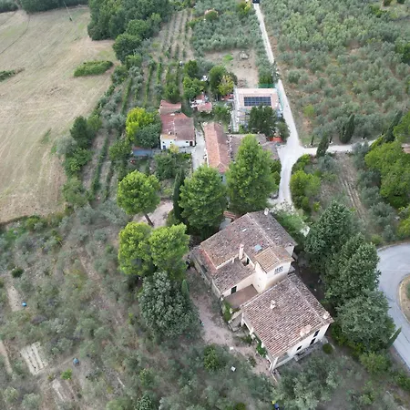 Casaregina In Collina ベッド・アンド・ブレックファスト