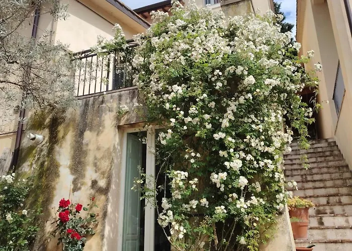 Casaregina In Collina Nocleg ze śniadaniem 3*