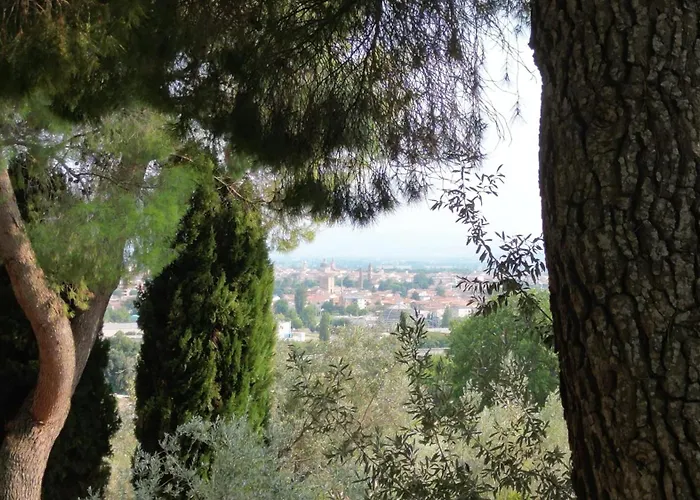 Casaregina In Collina 3* フォリーニョ